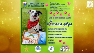 КИСТОЧКА ДОБРА. Новороссийск. Помощь животным.