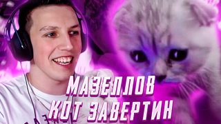 МАЗЕЛЛОВ И КОТ ЗАВЕРТИН НА СТРИМЕ | КОТ СПИТ НА СТОЛЕ
