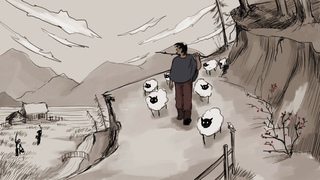 Wild Sheep Chase - Short Music Animation