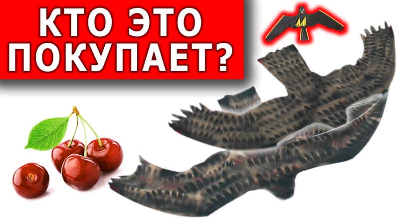 ПОЖАЛУЙ ЭТО ЛУЧШИЙ ОТПУГИВАТЕЛЬ ПТИЦ и 100 способ защиты