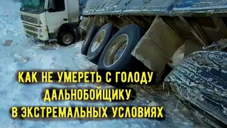 КАК ДАЛЬНОБОЙЩИКУ ВЫЖИТЬ B И НЕ ОГОЛОДАТЬ  В ЭКСТРЕМАЛЬНЫХ УСЛОВИЯХ