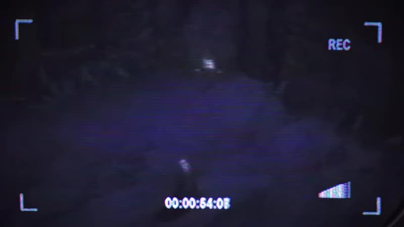 SHUSH DEATHS