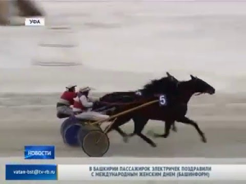 Ипподром Акбузат поздравил своих