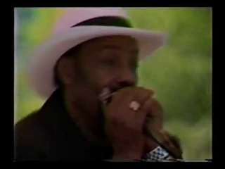 Lester Davenport - Chicago Blues Festival (1994) - Part 1