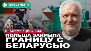 Новый канал коммуникации Лукашенко и Киева / Владимир Цибулько / Актуально