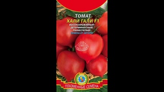 Самый лучший томат в мире 2024 г.! Высокоурожайный, вкусный и сладкий томат ХАЛИ ГАЛИ! #огород #дача