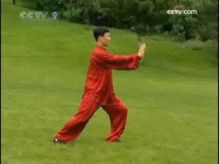 Han Jin Song taichi 24 form