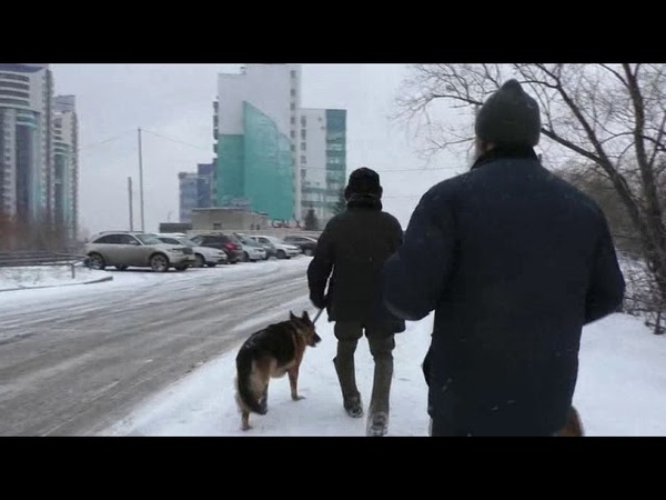 Вернулись с моста с братом Андреем