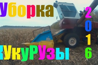 Нива СК-5 и Газ 3307 уборка кукурузы 2016  /Mowing of corn 2016 the NIVA СК- 5 and GAZ 3307