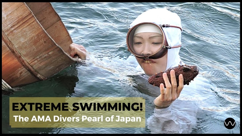 Extreme Swimming: The Ama Divers Pearl of