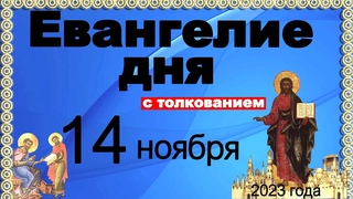 Евангелие дня с толкованием  14 ноября 2023 года 90, 120 псалом  Отче наш  2023