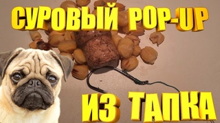 БРАГА на карпа + СУРОВЫЙ POP UP из тапка выловит всего карпа и амура.