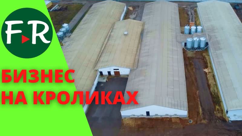 Фермерский бизнес на кроликах. Николай Корнеев.