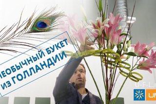 🌷 Букеты от Голландских флористов 🌷 | Как сделать необычный букет и композицию...