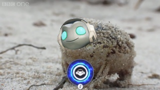 A Very Fast Lucio