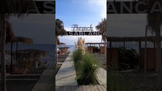 Касабланка (Jessica Jay “Casablanca“)🎵🌴 Сочи 2024☀️