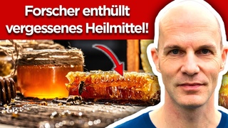 Was dir ber Honig verschwiegen wird (99% wissen das nicht)