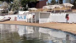 Керчане просят почистить пляж Московский от медуз