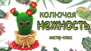 Колючая нежность/Кактус/Мастер-класс