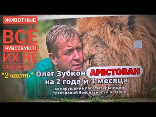 Парк львов Тайган. ЗООПАРК СКАЗКА. СОСЕДСКИЕ РАЗБОРКИ ОБЕЗЬЯН. Олег Зубков. (2 часть)