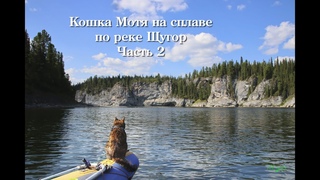 Кошка Мотя на сплаве по реке Щугор2