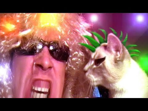 "Kitty Kitty" Metal Song