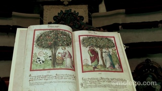 Tacuinum Sanitatis (Rhineland,15thC)