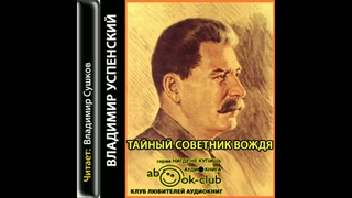 обзор романа тайный советник вождя.