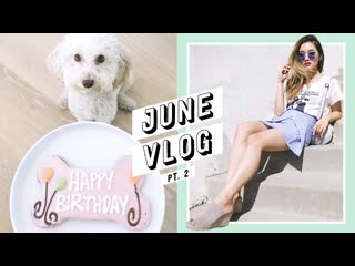 My Baby's 1st Birthday + Daily Life in LA | June Vlog #2
