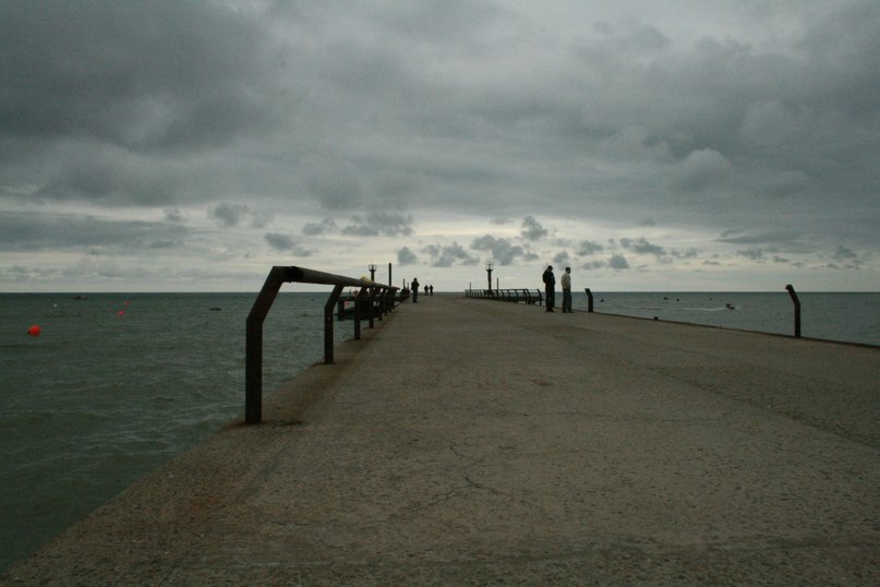 Алексей Скорынин | Краснодар