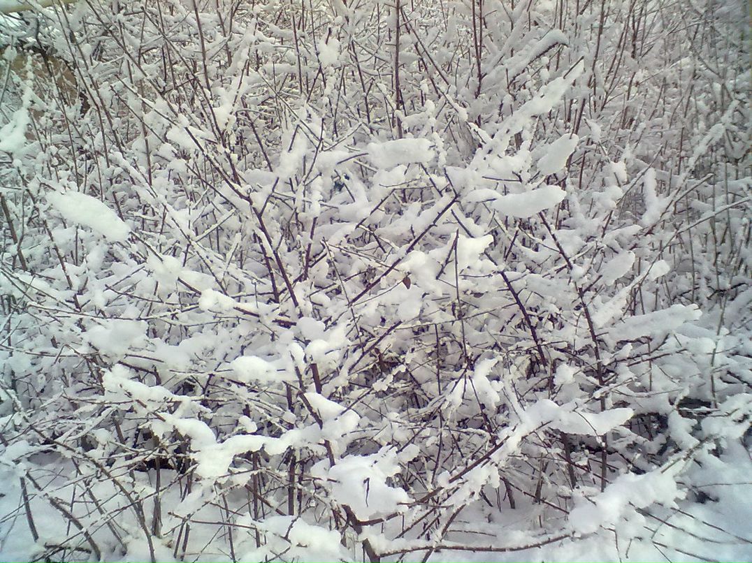 Роман Зуб Аннарил | Бахмут / Артемовск