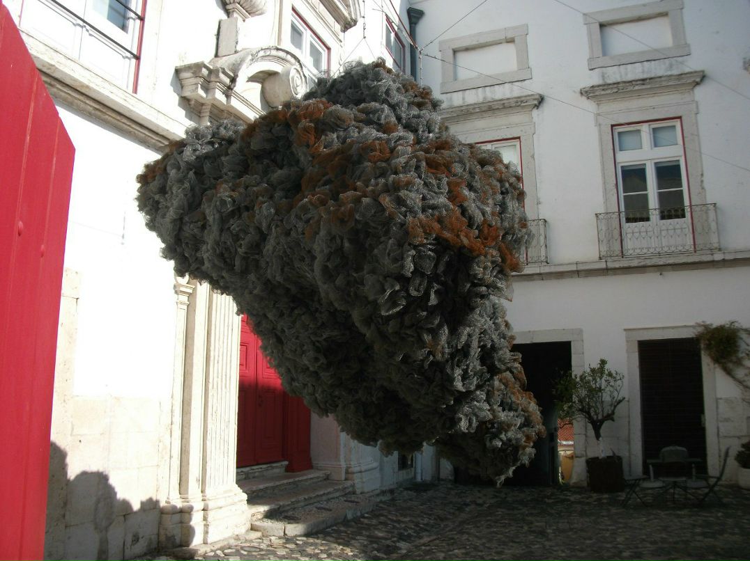 Елена Нечаенко | Беэр Шева