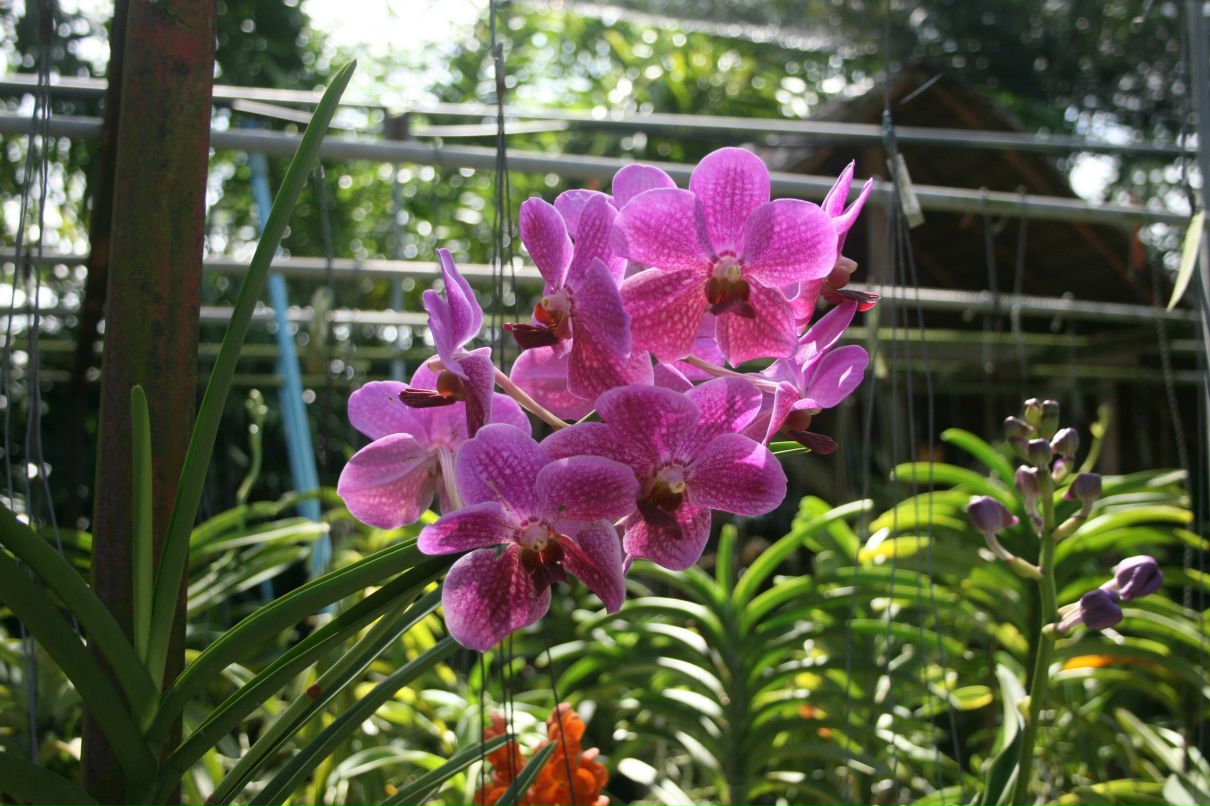 Сергей Наранек | Москва