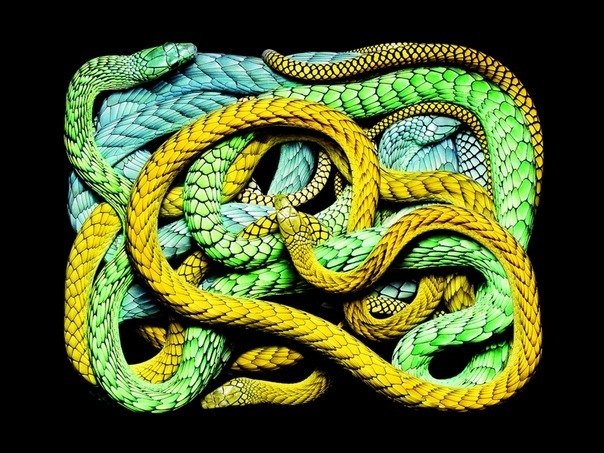 №15, Ирина Чурило №15, Ирина Чурило