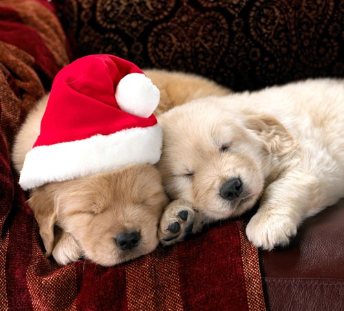 №80, Василий Глушаков, Евпатория №80, Василий Глушаков, Евпатория