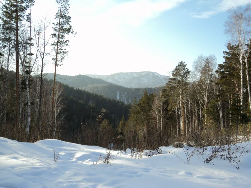 Иван Бровкин | Ижевск