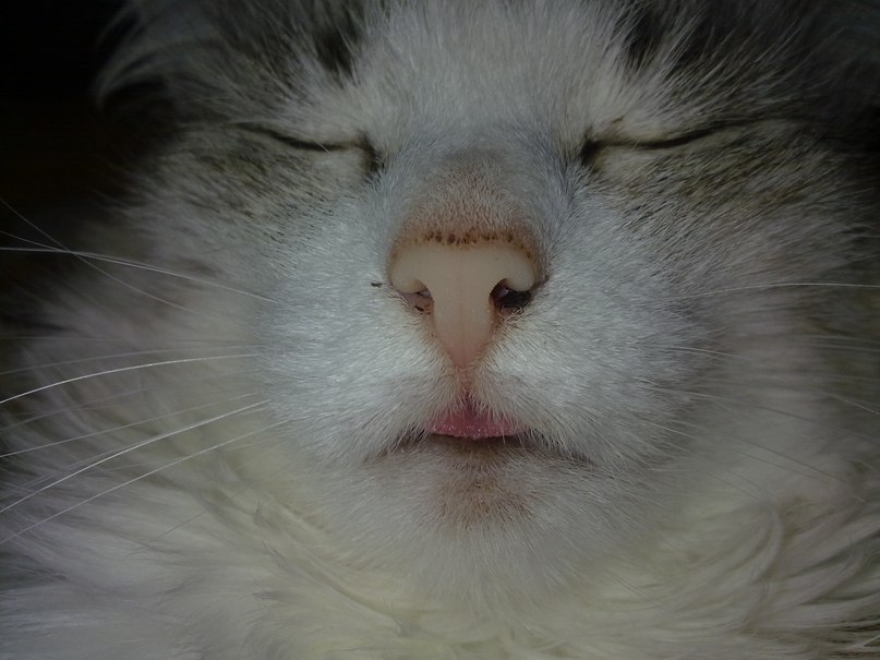 Вмка Нечаева | 