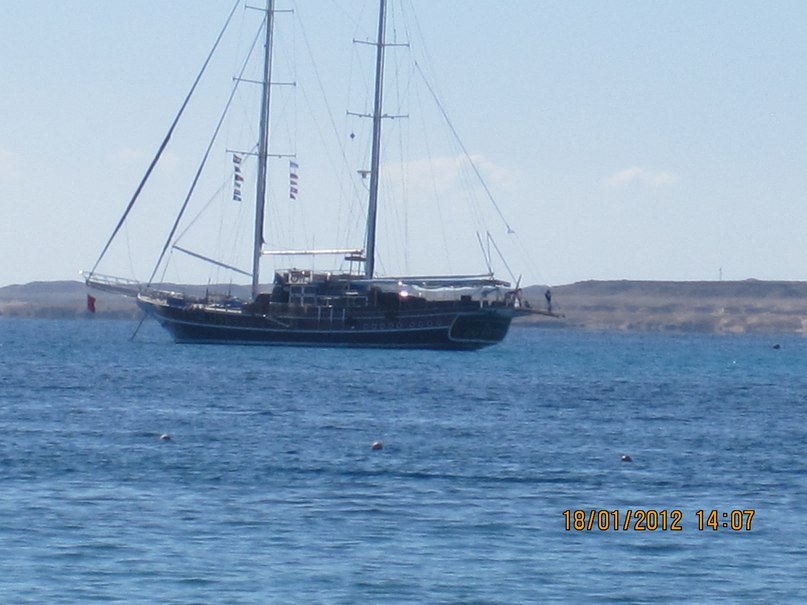 Жанна Левина | Щелково