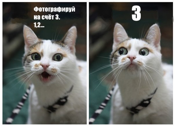 Юлия Петухова | Uppsala