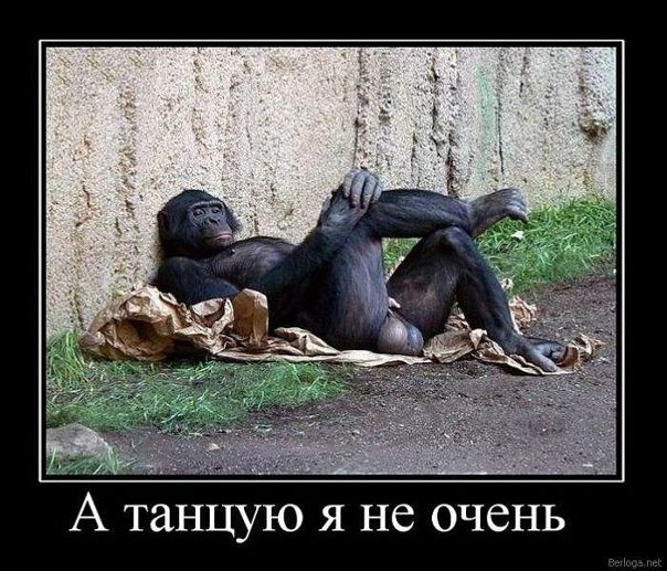 №35, Фиксик Нолик №35, Фиксик Нолик