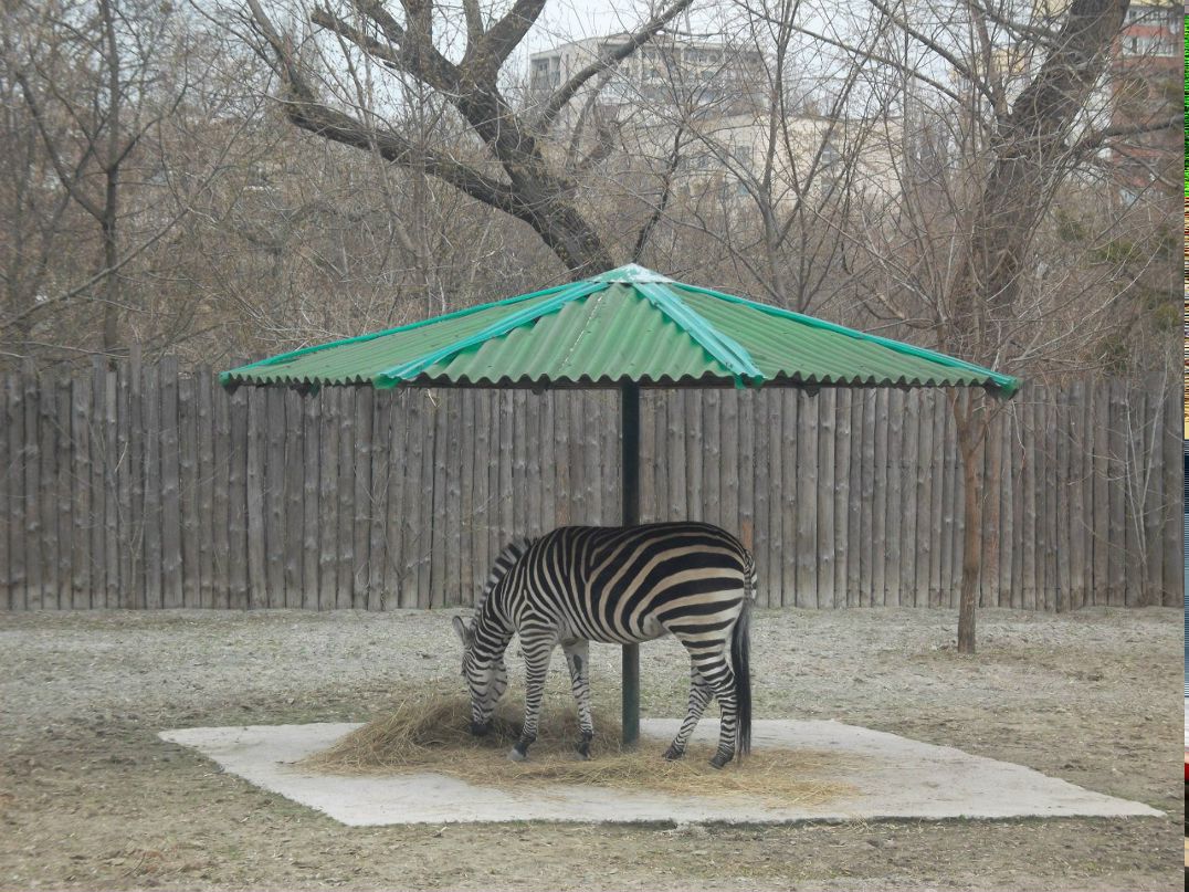 Татьяна Лобойко | Киев