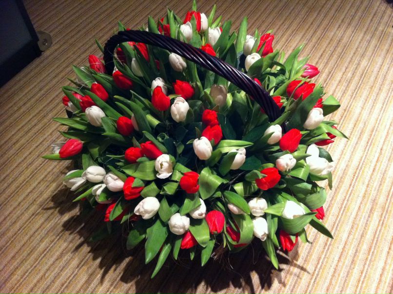 Дарья Валдайская | 