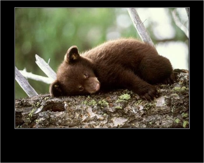 Оленька Ню | Москва