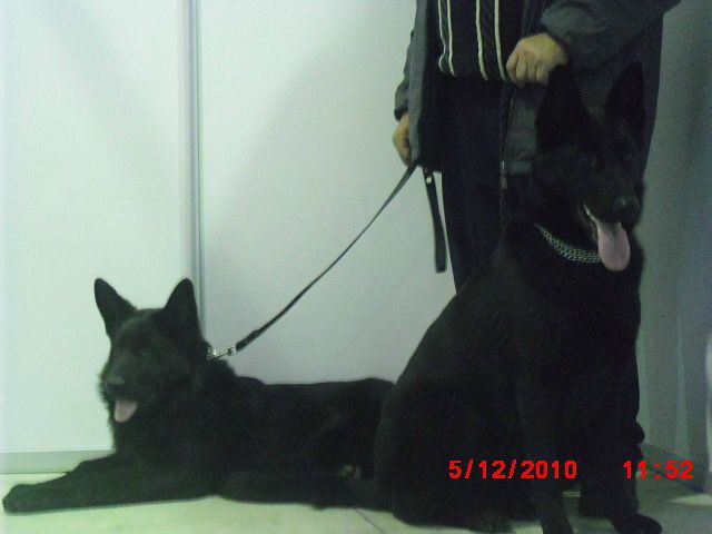 №42, Светлана Кичигина, Белгород №42, Светлана Кичигина, Белгород