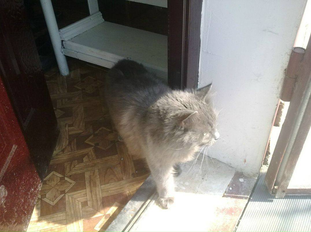 Максим Дешук | Одесса