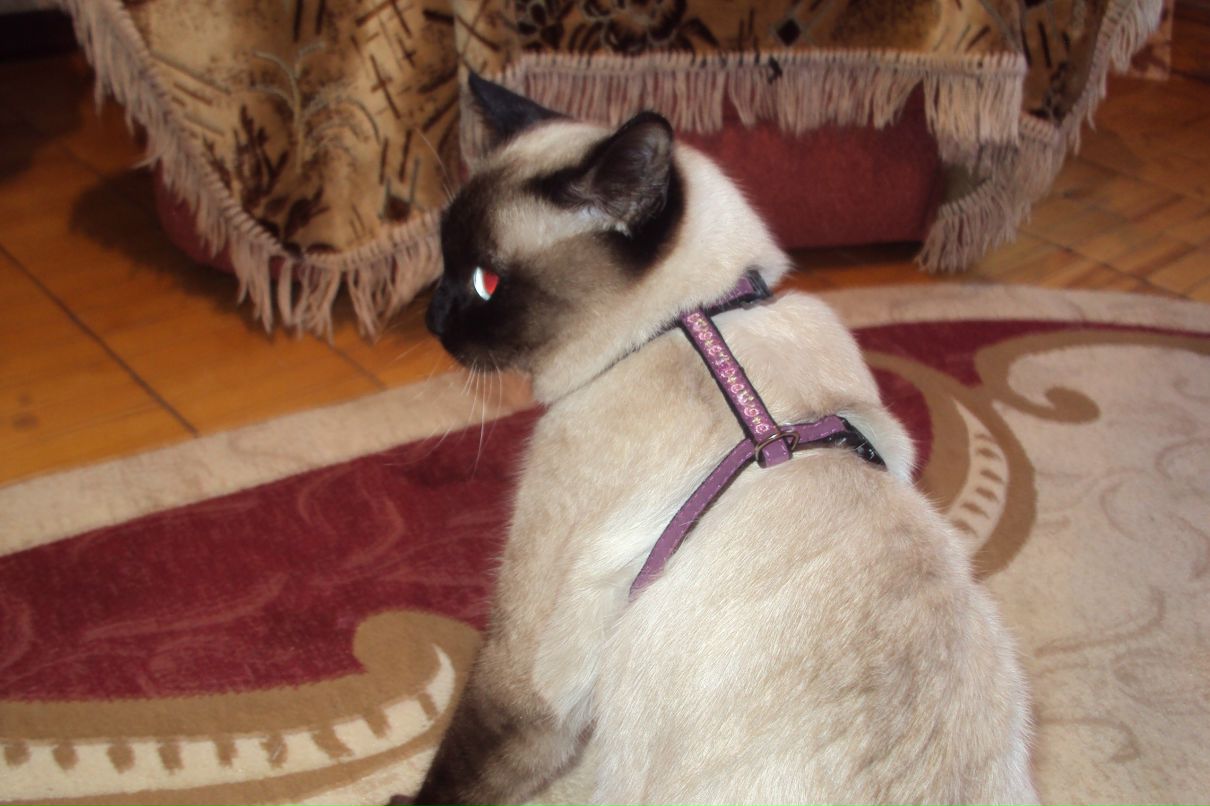 Елена Карелина | Пермь