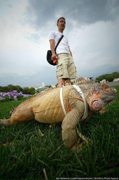 №74, Валера Фирстов, Саратов №74, Валера Фирстов, Саратов