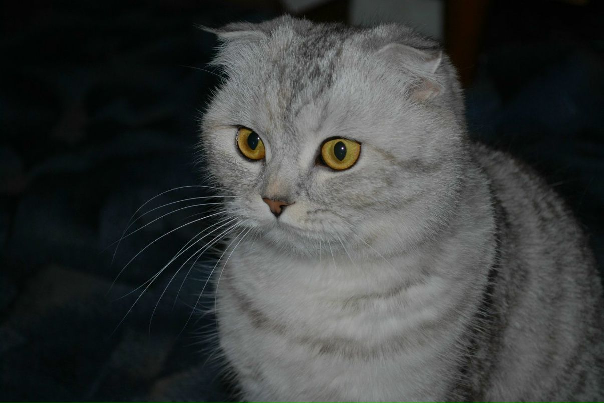 Екатерина Татанкина ketta | Оренбург