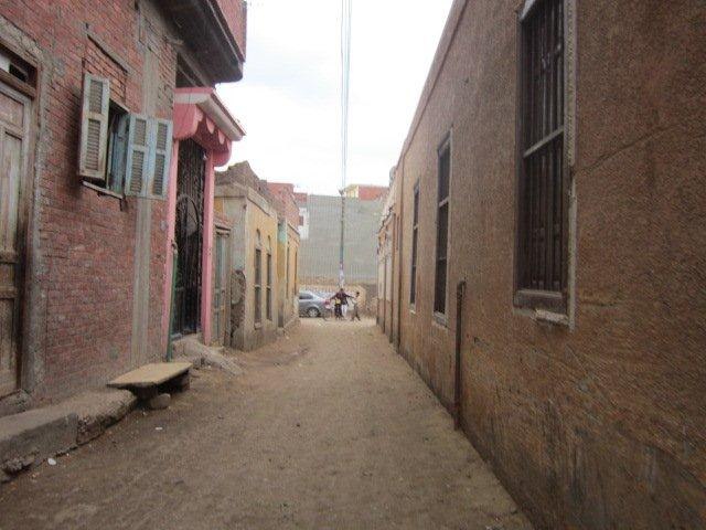 Юлия Гамаль | Taba