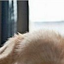 №20, Евгения Веденеева №20, Евгения Веденеева